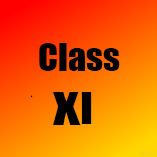 11.png
