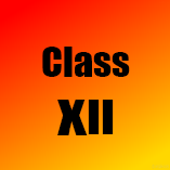 12.png